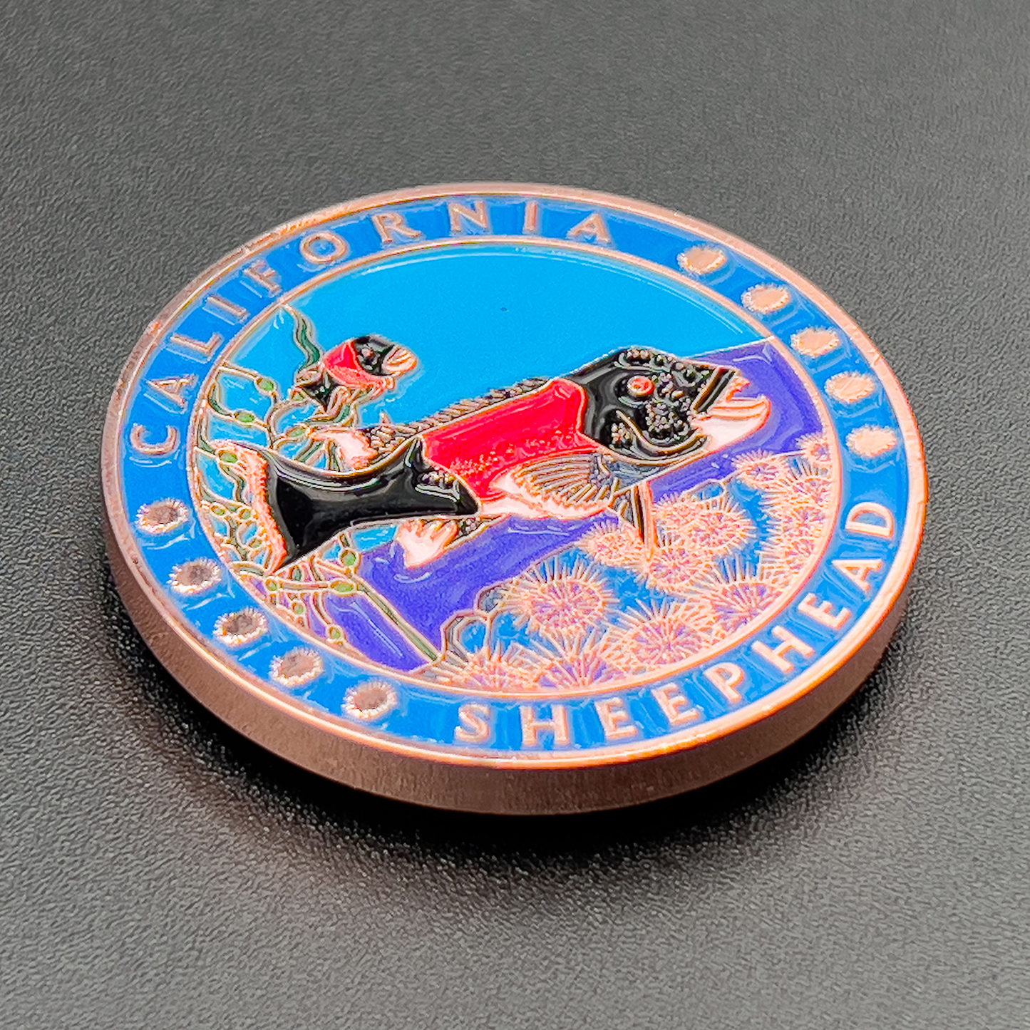Sheephead Coin (California)