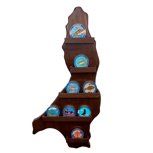Cedros Island On-Wall Coin Display
